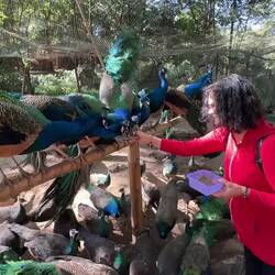 Wer's glaubt, wird seelig. 😥