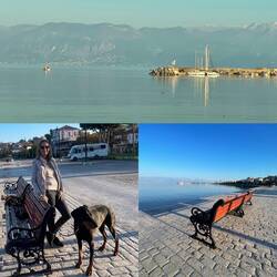 ..wollen gemütlich herum Bummeln 😊