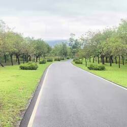 ein wirklich schöner Park