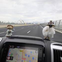 Unser Engel hat Zuwachs bekommen