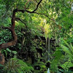 Bang Song Thai Caffee