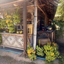 Qui veut une banane ? 🍌