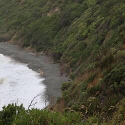 Le macchie nere sono leoni marini che riposano sulla spiaggia