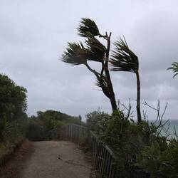 Vento e pioggia insieme.. chi uscirebbe in giro con questo tempo? Noi! ;D