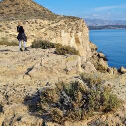 aber Moni hat ihr Meer