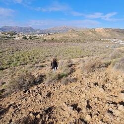 Also den langen Weg hinauf
