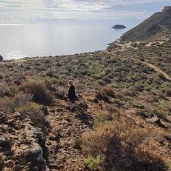 aber wen interessiert das schon