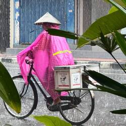 In the pink. De rigueur rain wear, Java style