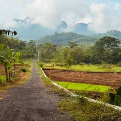 A muggy day on lush forested hills