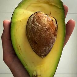 The biggest bestest avocado I've ever had the pleasure to eat