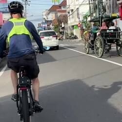 Passing an Andong - traditional horse-drawn carriage - as you do, cycling the streets of Yogyakarta