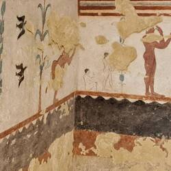 Particolare del giocoliere: un "cacante"