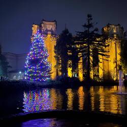 Palace of the fine Art