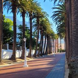 Was eine Hotelzufahrt🌴