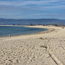 Nehmt ihr mich mit? Ich habe euch schon laaaange gesehen, sitze aber schon brav bis ihr kommt.