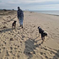 Funktioniert auch dieses mal sehr gut zusammen.