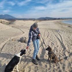 Schön brav hinsetzen, dann gibt es vielleicht etwas.