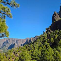 ... immer wieder schön ...