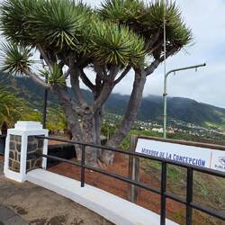 ... Wieder auf der Ostseite ...