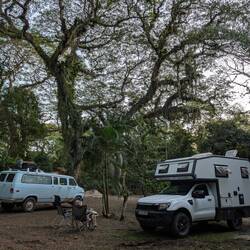 Finca Cañas Castilla