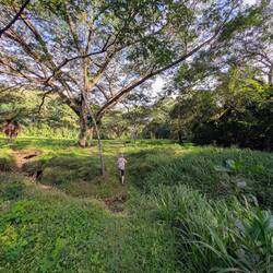 Eine einstündige Wanderung auf ihrem Grundstück