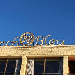 Selbst auf dem Dach gibt es Hunde