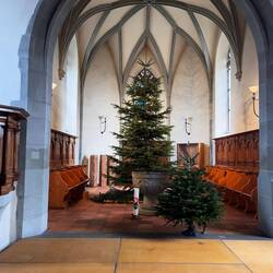 The church at the Rhine Falls