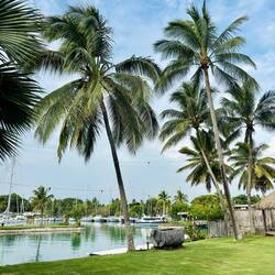 "Vuda Marina" 🛥️⛵️