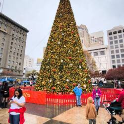 Der Weihnachtsbaum auf dem Union Square.