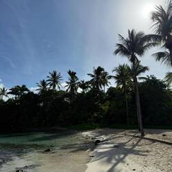 Idillischer Strand! 🏝️