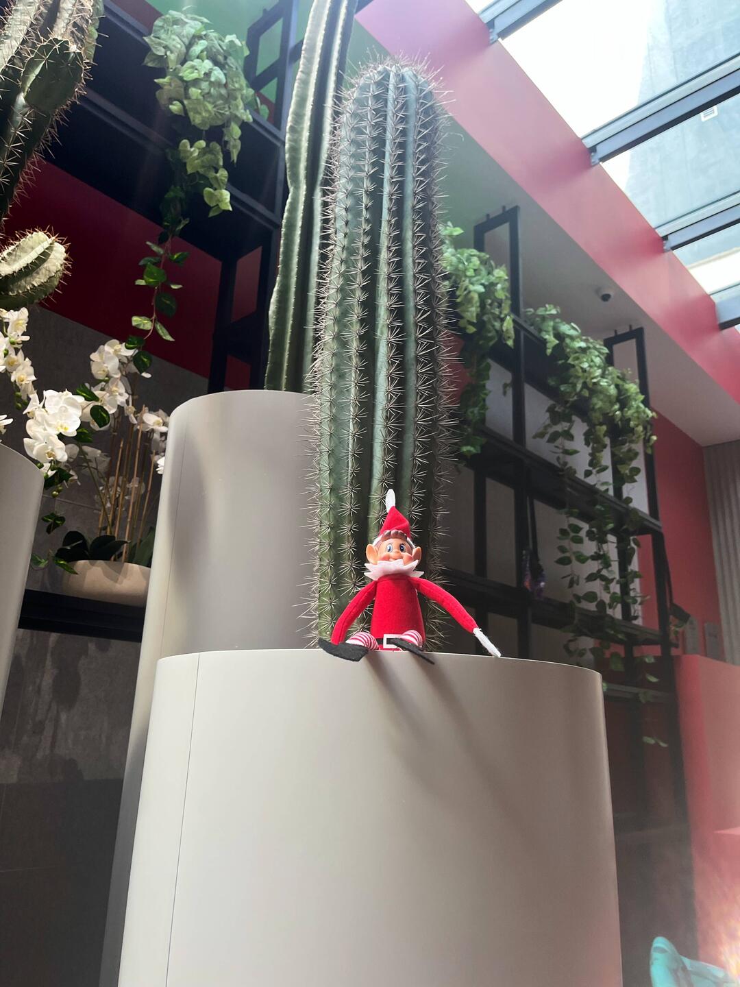 Merry Christmas from the Adge Hotel, Surry Hills