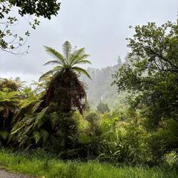De zon en de regen wisselden elkaar goed af