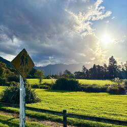 M'n slaapplek vannacht, bij Lake Brunner