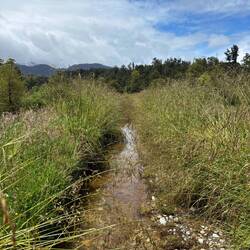 Het hele pad was ondergelopen tot boven de enkels, dus dan maar door het gras ploeteren
