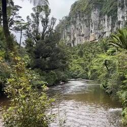 Zat een beste vaart in