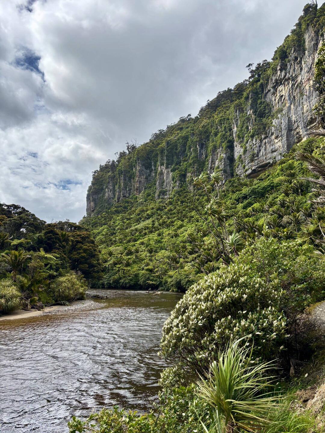 De Punakaiki River