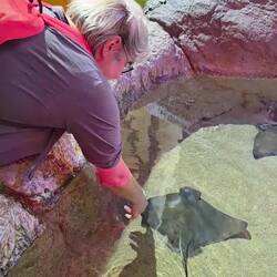 Dort durfte man anfassen 😏