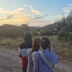 üses erste Känguru (lebendig)