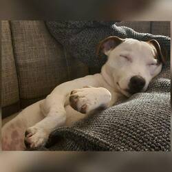 Ab ins Land der Träume