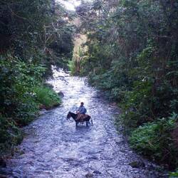 Zum Abschluss geht es durch den Fluss der den Nationalpark trennt