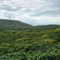 Weiter mit dem Moped durch den Dschungel.