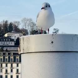 Aquí intentamos capturar el panorama completo