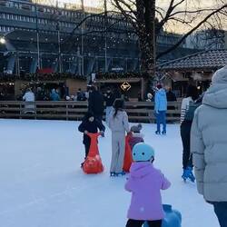 Entretenimiento que no puede faltar