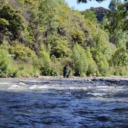 Ci sono persone locali in cerca di oro