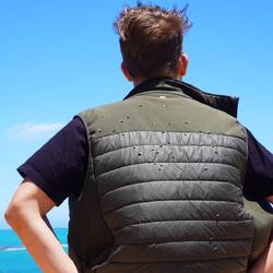 Vieleviele Fliegen...