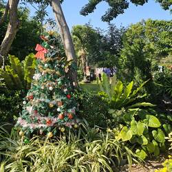 sogar in einer tollen Parkanlage wird an das bevorstehende Weihnachten erinnert 🤩