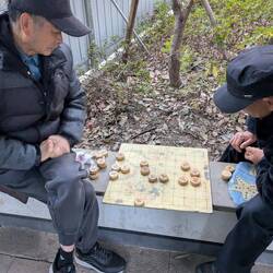 Die Herren bringen mir Chinesisches Schach (象棋), auch Elefantenschach genannt, bei