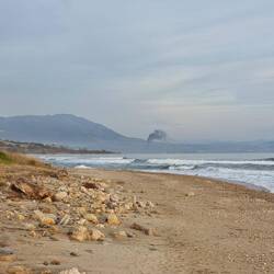 Was da wohl wieder verbrannt wird.