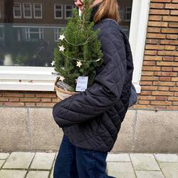 Securing the little tree 🌲
