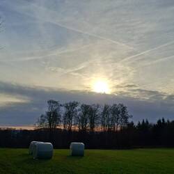 Die Sonne gewinnt die Oberhand.